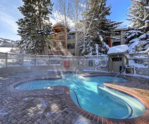 Photo 4 - Snow Flower 126