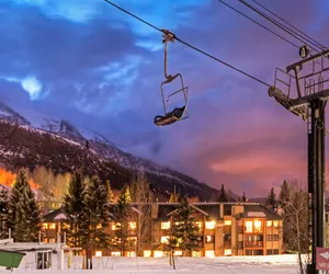 Photo 5 - Snow Flower 126