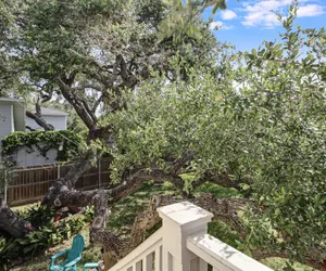 Photo 3 - Rockport Treehouse