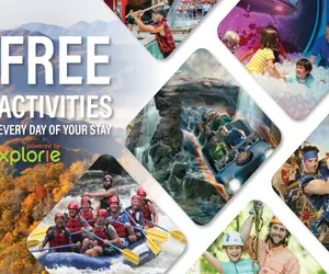 Photo 3 - Black Bear Retreat 2 beds!