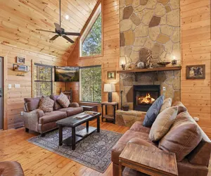 Photo 5 - The Wild Life