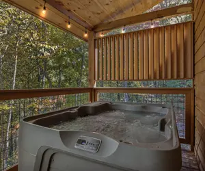 Photo 2 - The Wild Life