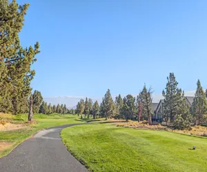 Photo 5 - Red Wing Nest