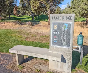 Photo 4 - Red Wing Nest