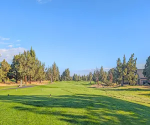 Photo 3 - Red Wing Nest