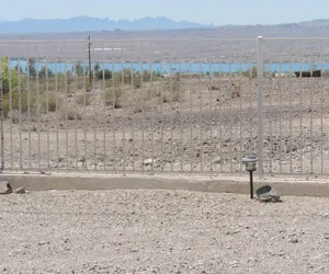 Photo 3 - Alibi-Step to open desert