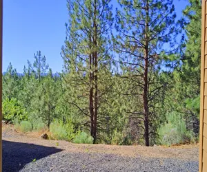 Photo 5 - 7th Mtn 611C