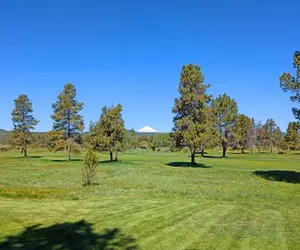 Photo 4 - Meadows Retreat 226