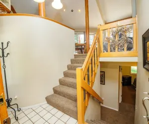 Photo 5 - Tan Oak 15