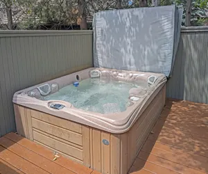 Photo 4 - Tan Oak 15