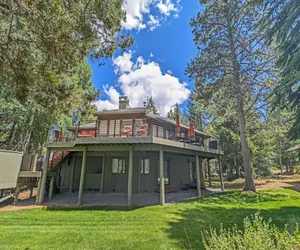 Photo 3 - Tan Oak 15