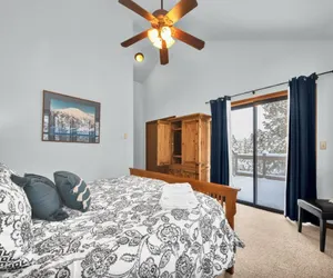 Photo 3 - Yellow Pine 10