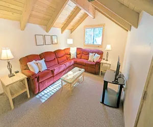 Photo 3 - Pine Needle 2