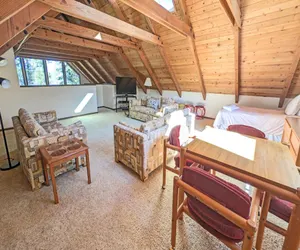 Photo 5 - Goldfinch 3