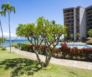 Photo 3 - Kaanapali Shores #159