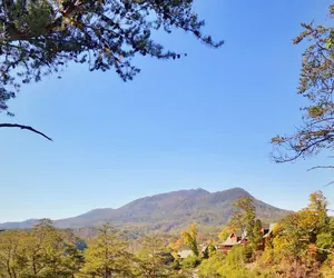 Photo 5 - Luxurious Log Cabin Nestled in the Great Smoky Mountains