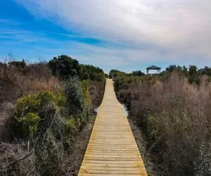 Photo 3 - Cypress Hall