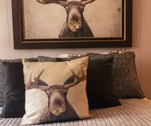 Photo 4 - Moose Room | Rustic Colorado Lodge Escape