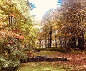 Photo 5 - Catskills Enchanted Forest