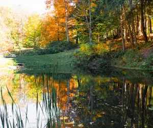 Photo 5 - Autumn Haven • Cozy Catskills Fireside Getaway