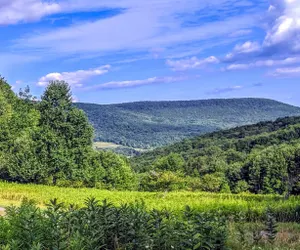 Photo 3 - Luxury Mountain View Contemporary Farmhouse