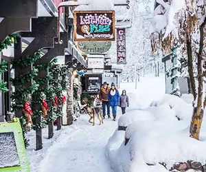 Photo 4 - Spacious 4BDR w 2 Living Rooms Walk to Private Beach for HOA