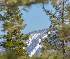 Photo 4 - Pet-Friendly Eco-Friendly Truckee Container House w Hot-Tub