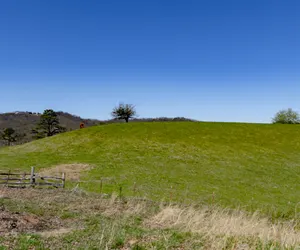 Photo 5 - Peaceful Pastures