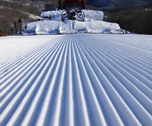 Photo 4 - Grey Fox Cabin between Boone, Blowing Rock, & App Ski Mountain!