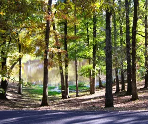 Photo 3 - Bluey's Hideaway