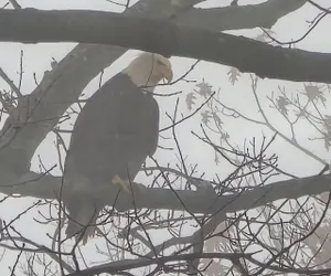 Photo 3 - Eagles Nest At Heron Hill Retreat Hot Tub on Lake!