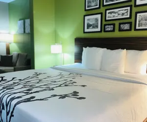 Photo 4 - Sleep Inn & Suites Round Rock - Austin North