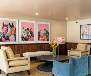 Photo 3 - Hotel Francis