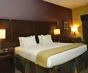 Photo 3 - Holiday Inn Express Hotel & Suites Baton Rouge North by IHG