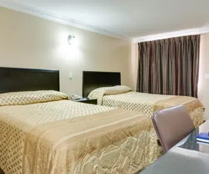 Photo 5 - Sky Palm Motel