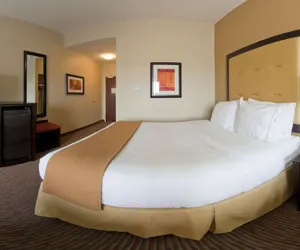 Photo 5 - Holiday Inn Express Hotel & Suites CORDELE NORTH by IHG