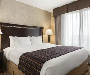 Photo 5 - University Hotel - Davis Area by IHG