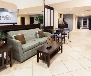 Photo 2 - Microtel Inn & Suites by Wyndham Spring Hill/Weeki Wachee