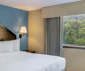 Photo 5 - Camelback Lodge & Aquatopia Indoor Waterpark