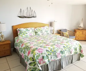 Photo 3 - Hibiscus B203
