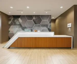 Photo 3 - SpringHill Suites by Marriott Dallas DFW Airport South/CentrePort