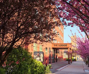 Photo 2 - The Lodge Red Hook