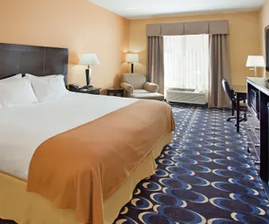 Photo 5 - Holiday Inn Express & Suites Las Cruces North by IHG