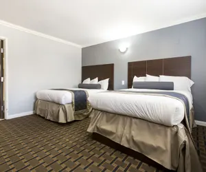 Photo 3 - Hollywood Palms Inn and Suites