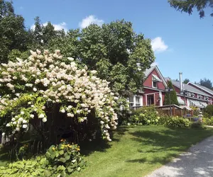 Photo 2 - The Vermont Inn
