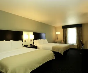 Photo 3 - Holiday Inn Express Hotel & Suites Marion Northeast, an IHG Hotel