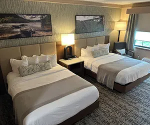 Photo 5 - Mardi Gras Casino & Resort