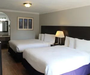 Photo 5 - Americas Best Value Inn Medical Center Downtown