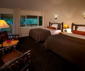 Photo 2 - Lake Crescent Lodge