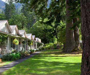Photo 4 - Lake Crescent Lodge